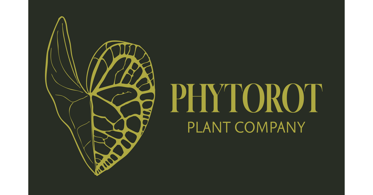 New Arrivals – PhytoRot Plant Company