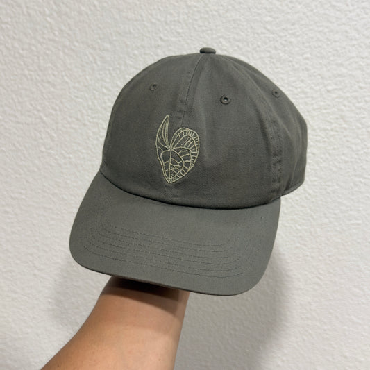 PHYTOROT CAP AUCTION