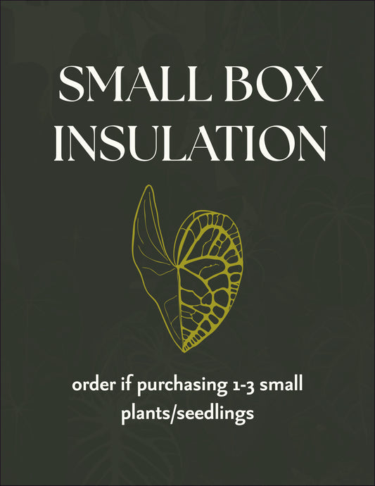 Small box insulation (1-3 plants)