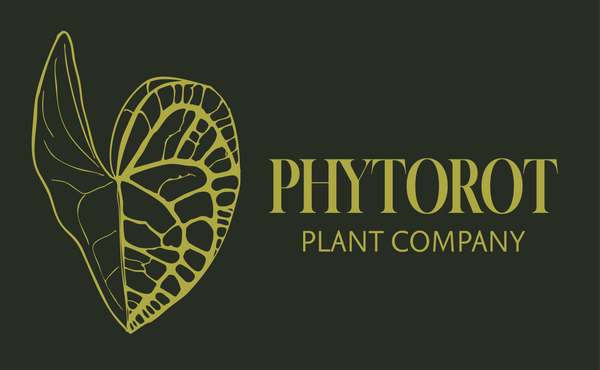 PhytoRot Plant Company